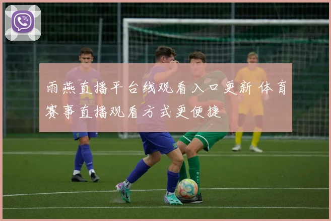 雨燕直播平台线观看入口更新 体育赛事直播观看方式更便捷