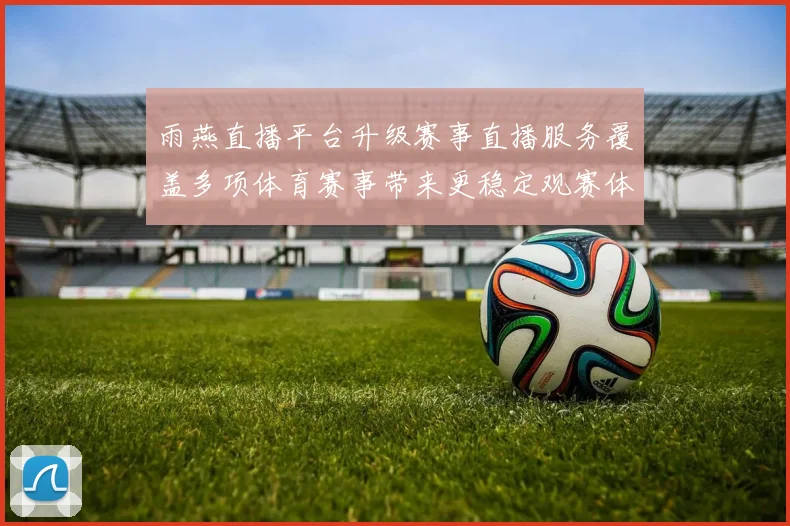 雨燕直播平台升级赛事直播服务覆盖多项体育赛事带来更稳定观赛体验