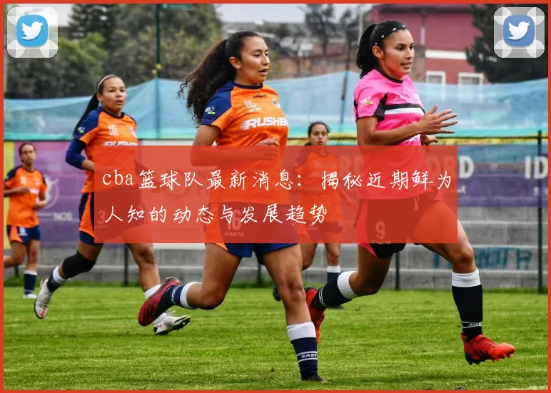 cba篮球队最新消息:揭秘近期鲜为人知的动态与发展趋势
